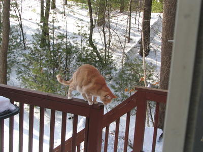 How can I avoid the snow