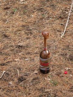 Coke-Mentos fountain