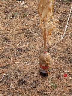 Coke-Mentos fountain #2