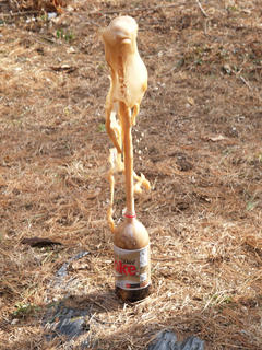 Coke-Mentos fountain #6
