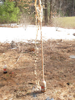 Coke-Mentos fountain #7