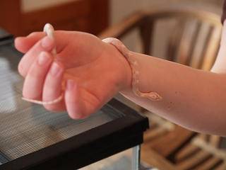 Gwen's snake Athena #2