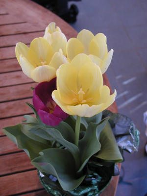 Easter tulips #3