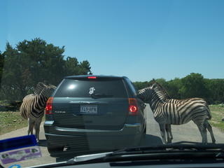 Give me the food and nobody gets hurt