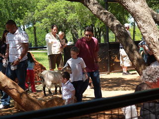 Petting zoo #2