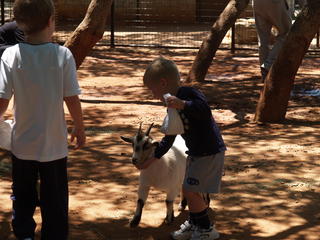 Petting zoo #4