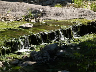 Austin park stream
