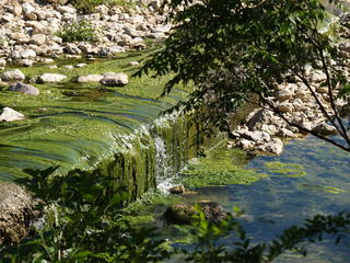 Austin park stream #2