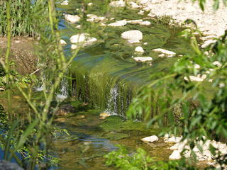 Austin park stream #3