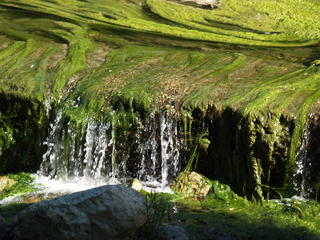 Austin park stream #4