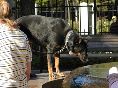 The big flowing water bowl