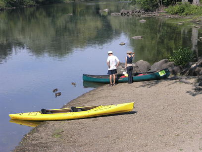 These ducks are in our river