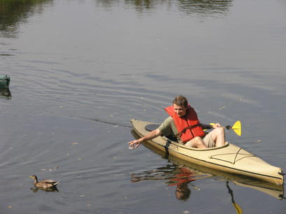 Here ducky, ducky...