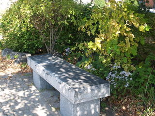 Bench