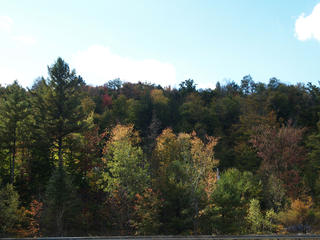 Just starting to change