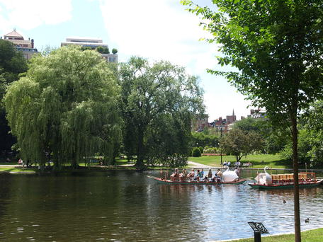 Swan boats