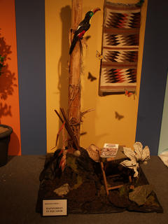 Destination: Equador