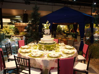 Decorated table setting #2