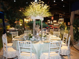 Decorated table setting #5