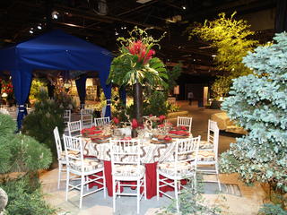 Decorated table setting #6