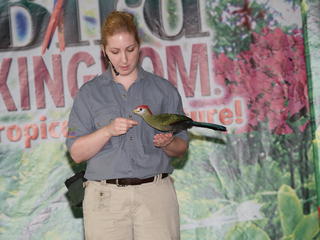 Do the show, get a treat