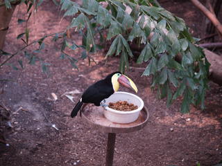 This is my best side