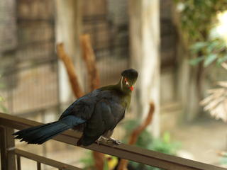 If you must take my picture....