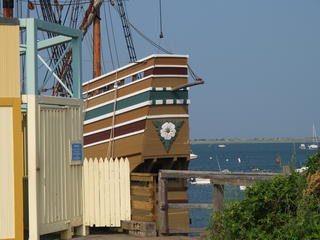 The mayflower on the Mayflower