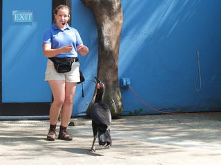 Food, do you have food?