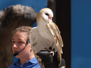 This is my good side