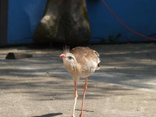 I'll pose for the camera