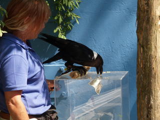 All donations cheerfully accepted