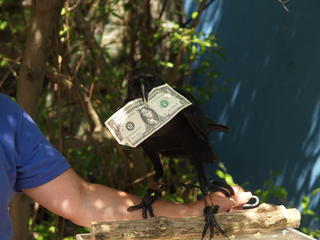 All donations cheerfully accepted #2