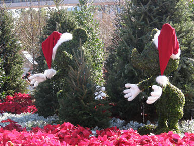 Christmas topiary