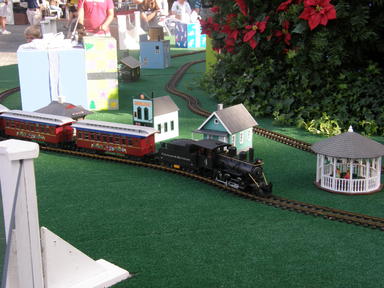 Epcot train