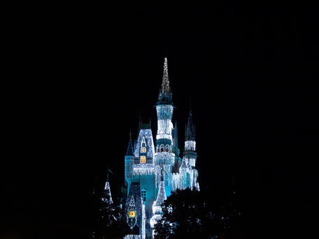 Cinderella's castle at night #2