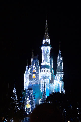 Cinderella's castle at night #3