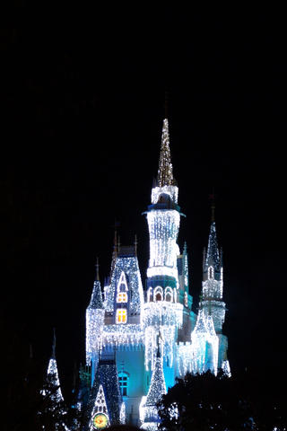 Cinderella's castle at night #4