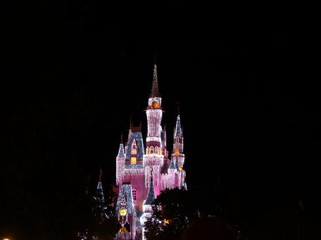 Cinderella's castle at night #5