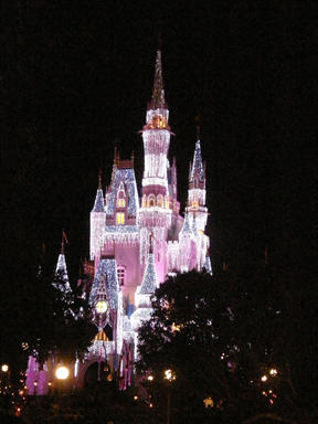 Cinderella's castle at night #6