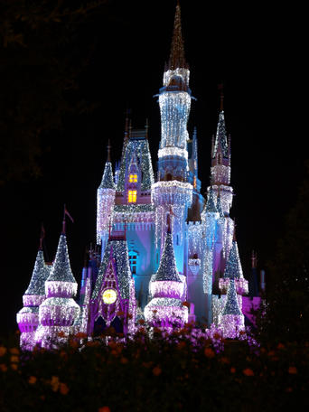Cinderella's castle at night #7