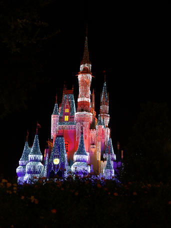 Cinderella's castle at night #8