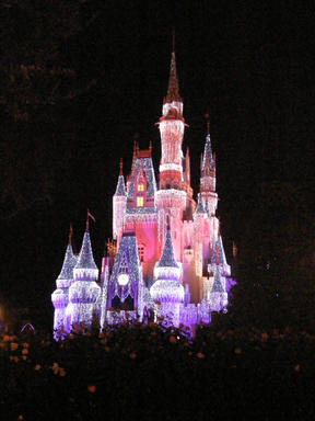 Cinderella's castle at night #9