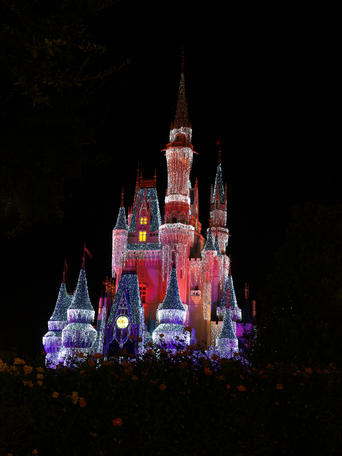Cinderella's castle at night #10