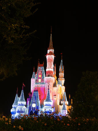 Cinderella's castle at night #11