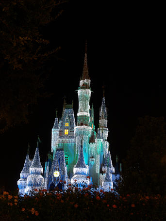 Cinderella's castle at night #12