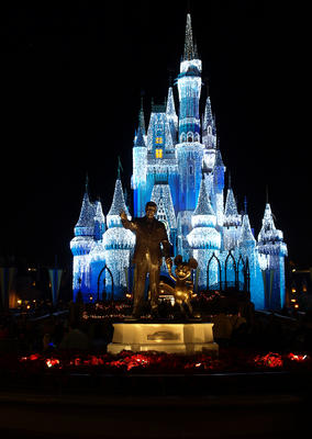 Cinderella's castle at night #13