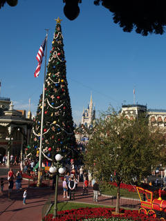 Magic kingdom christmas tree