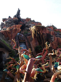 Splash mountain #12