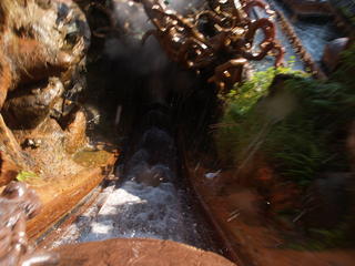Splash mountain #8
